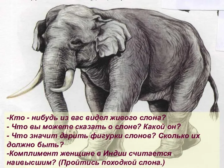 -Кто - нибудь из вас видел живого слона? - Что вы