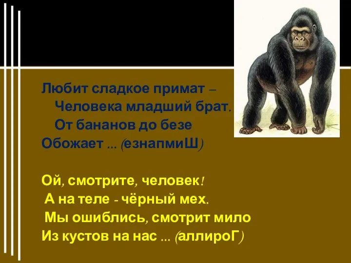 Любит сладкое примат – Человека младший брат. От бананов до безе