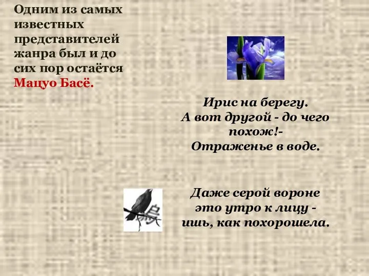 Ирис на берегу. А вот другой - до чего похож!- Отраженье