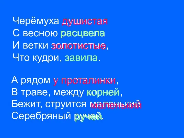 Черёмуха душистая С весною расцвела И ветки золотистые, Что кудри, завила.