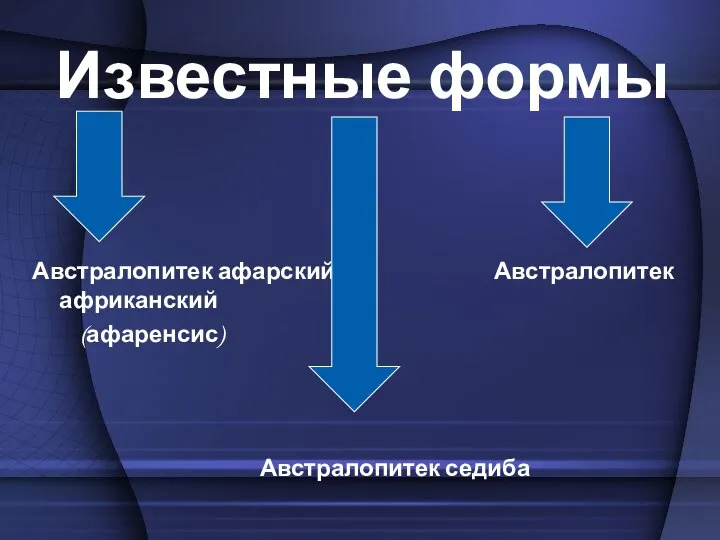 Известные формы Австралопитек афарский Австралопитек африканский (афаренсис) Австралопитек седиба