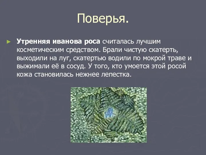 Поверья. Утренняя иванова роса считалась лучшим косметическим средством. Брали чистую скатерть,