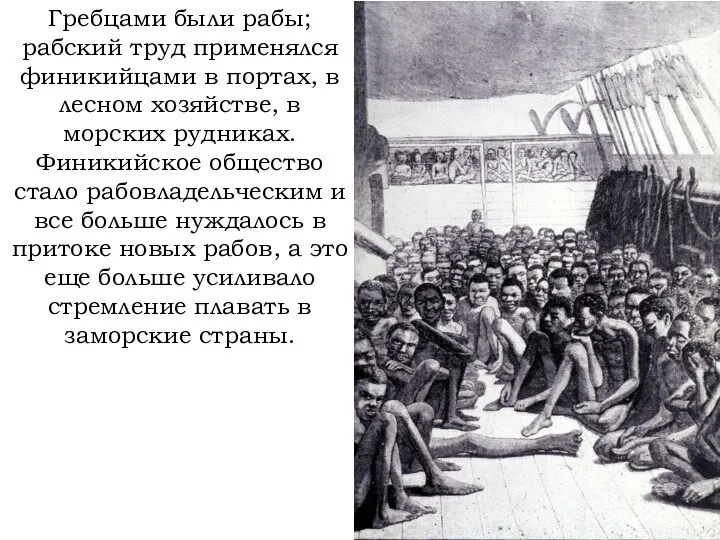 Гребцами были рабы; рабский труд применялся финикийцами в портах, в лесном