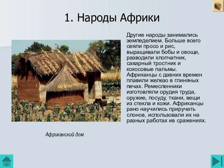 1. Народы Африки Другие народы занимались земледелием. Больше всего сеяли просо