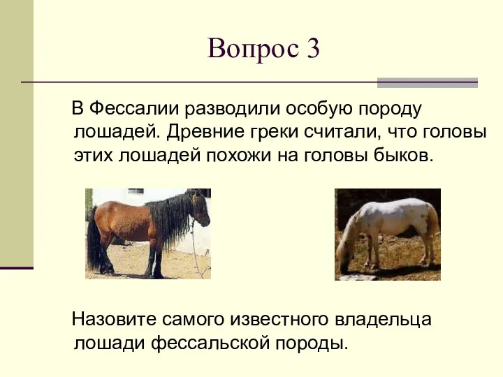 Вопрос 3 В Фессалии разводили особую породу лошадей. Древние греки считали,