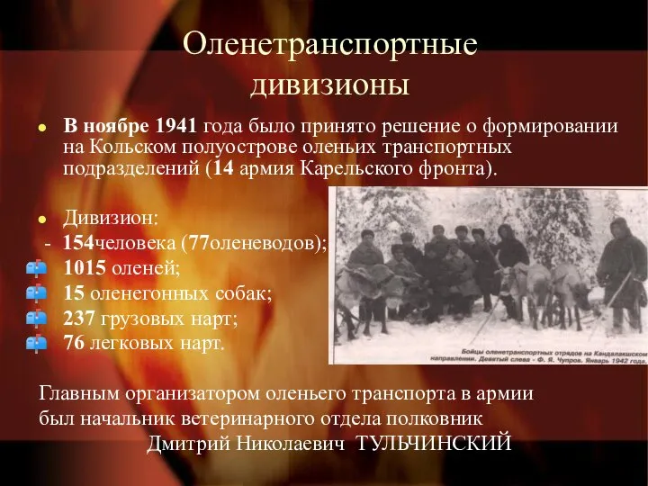 Оленетранспортные дивизионы В ноябре 1941 года было принято решение о формировании