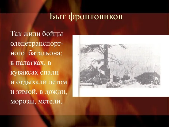 Быт фронтовиков Так жили бойцы оленетранспорт- ного батальона: в палатках, в