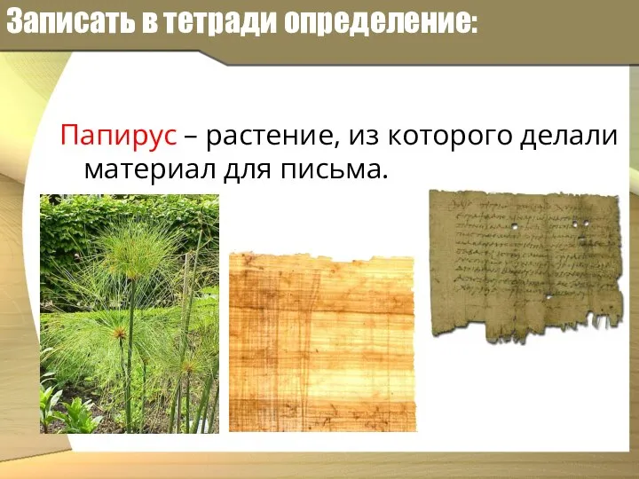 Записать в тетради определение: Папирус – растение, из которого делали материал для письма.