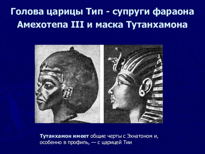 Голова царицы Тип - супруги фараона Амехотепа III и маска Тутанхамона