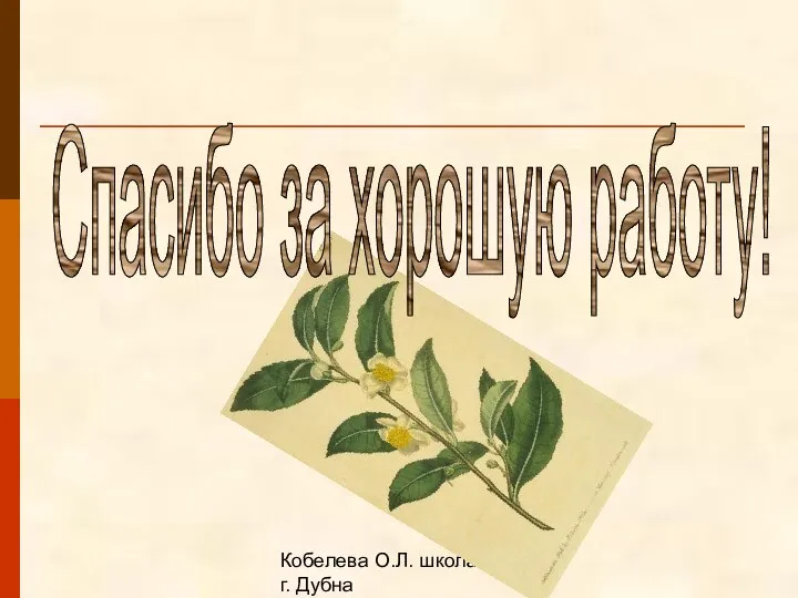 Кобелева О.Л. школа №1 г. Дубна Спасибо за хорошую работу!