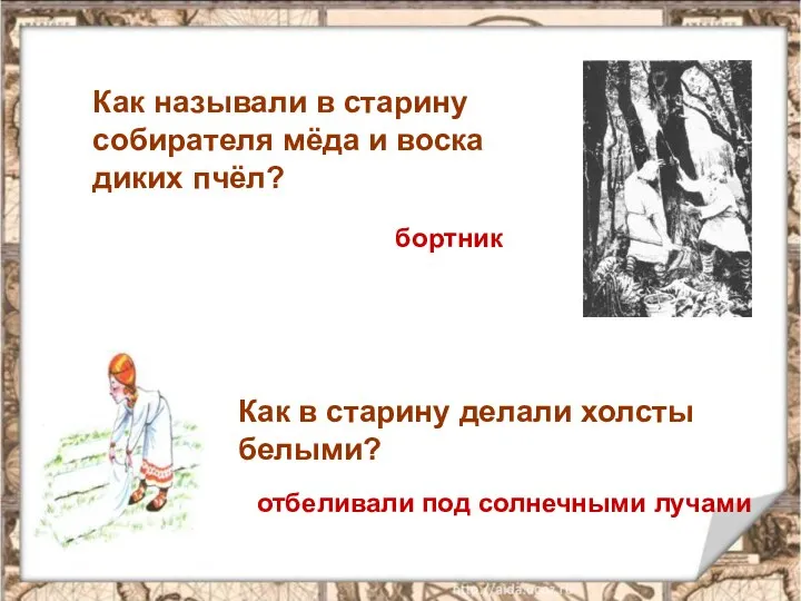 Как называли в старину собирателя мёда и воска диких пчёл? бортник