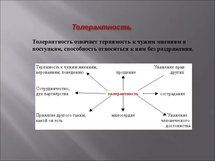 Толерантность означает терпимость к чужим мнениям и поступкам, способность относиться к ним без раздражения.