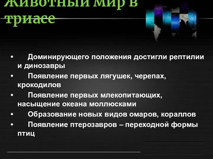 Животный мир в триасе Доминирующего положения достигли рептилии и динозавры Появление