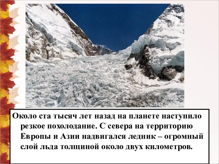 Около ста тысяч лет назад на планете наступило резкое похолодание. С