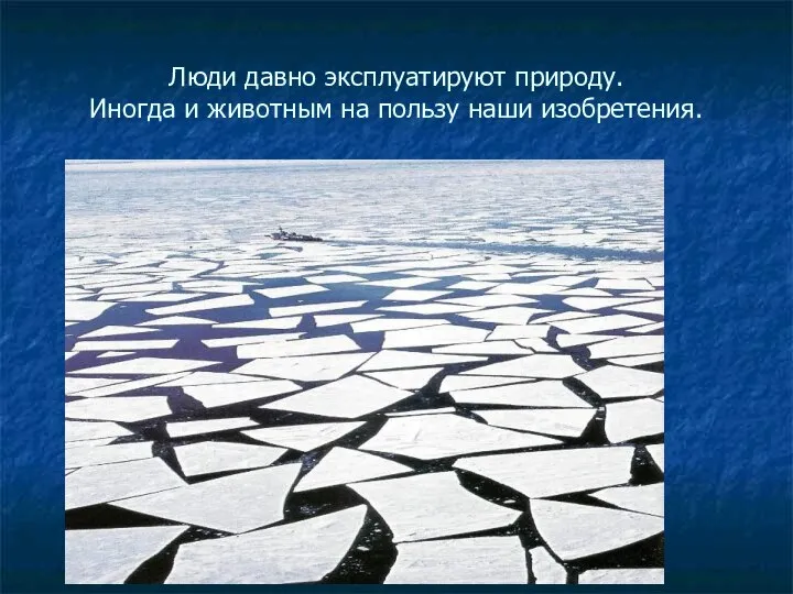 Люди давно эксплуатируют природу. Иногда и животным на пользу наши изобретения.