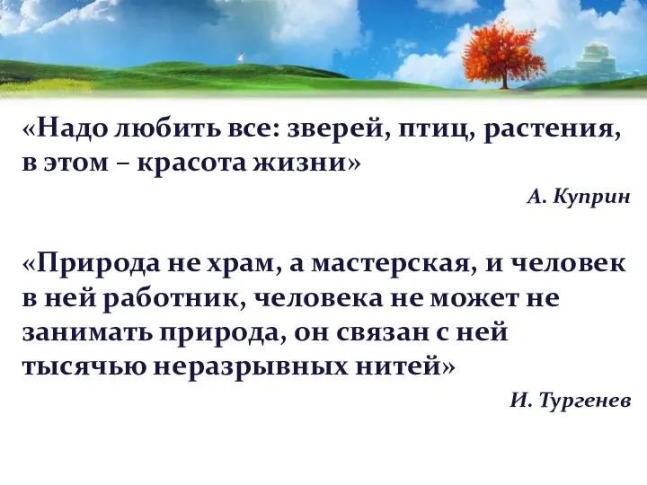 «Надо любить все: зверей, птиц, растения, в этом – красота жизни»