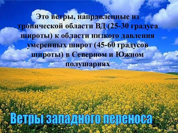 Ветры западного переноса Это ветры, направленные из тропической области ВД (25-30