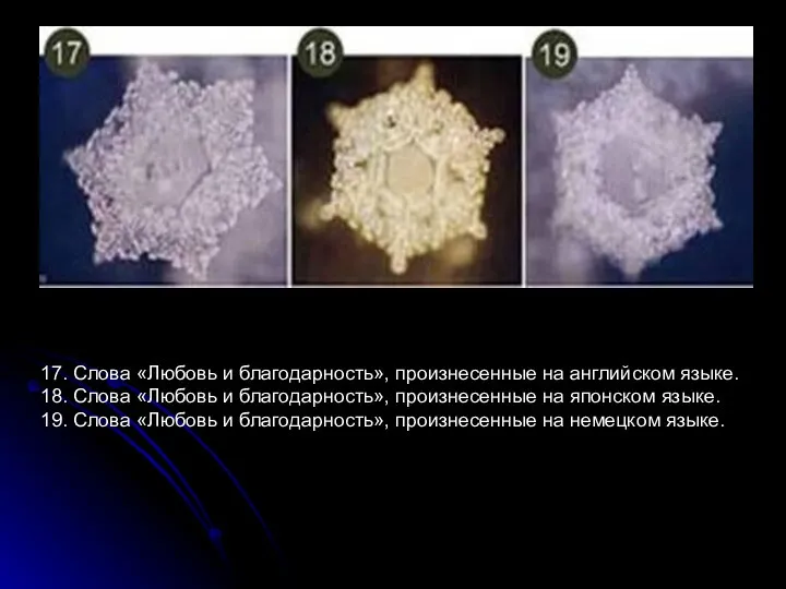 17. Слова «Любовь и благодарность», произнесенные на английском языке. 18. Слова