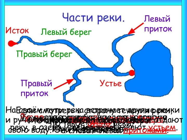 Части реки. Как называют начало реки? Исток Что такое устье реки?