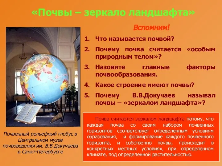 «Почвы – зеркало ландшафта» Почвенный рельефный глобус в Центральном музее почвоведения