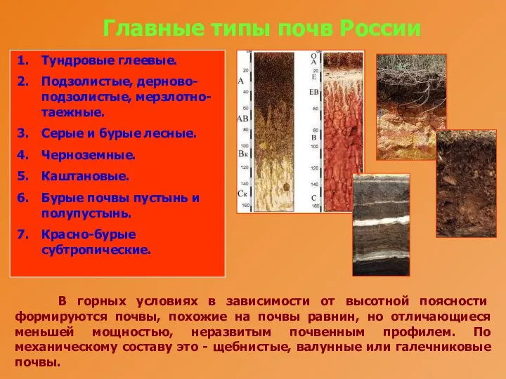 Главные типы почв России Тундровые глеевые. Подзолистые, дерново-подзолистые, мерзлотно-таежные. Серые и
