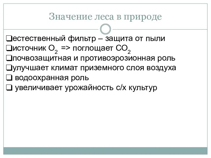 Значение леса в природе естественный фильтр – защита от пыли источник