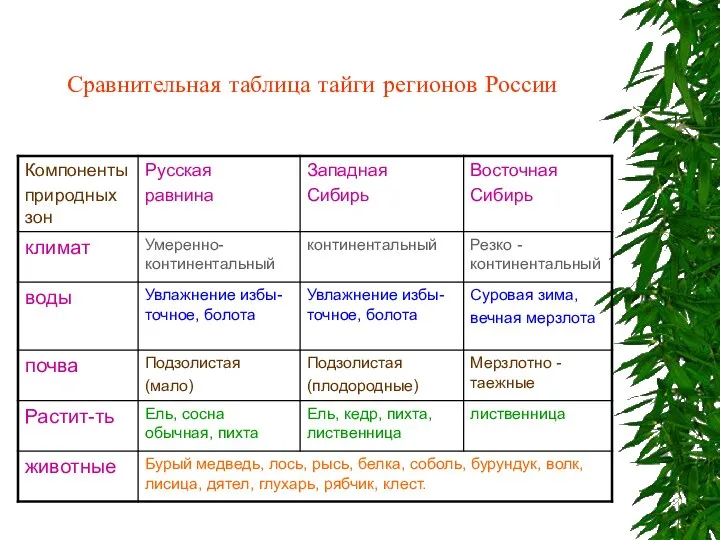 Сравнительная таблица тайги регионов России