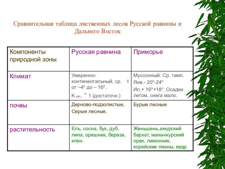 Сравнительная таблица лиственных лесов Русской равнины и Дальнего Восток