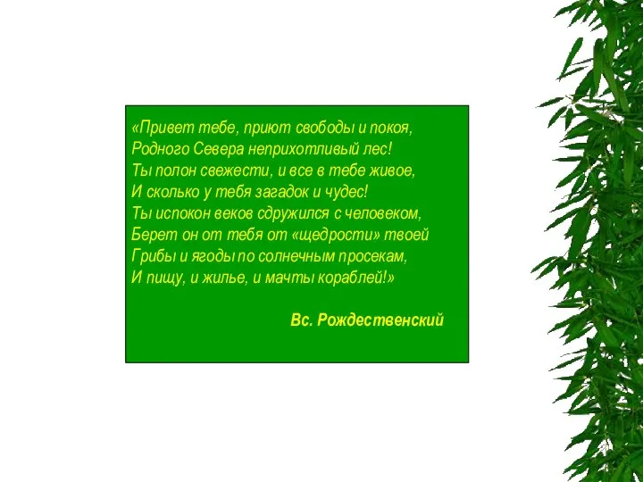 «Привет тебе, приют свободы и покоя, Родного Севера неприхотливый лес! Ты