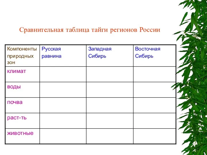 Сравнительная таблица тайги регионов России