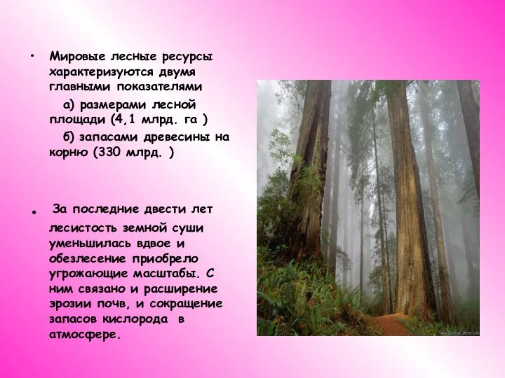 Мировые лесные ресурсы характеризуются двумя главными показателями а) размерами лесной площади