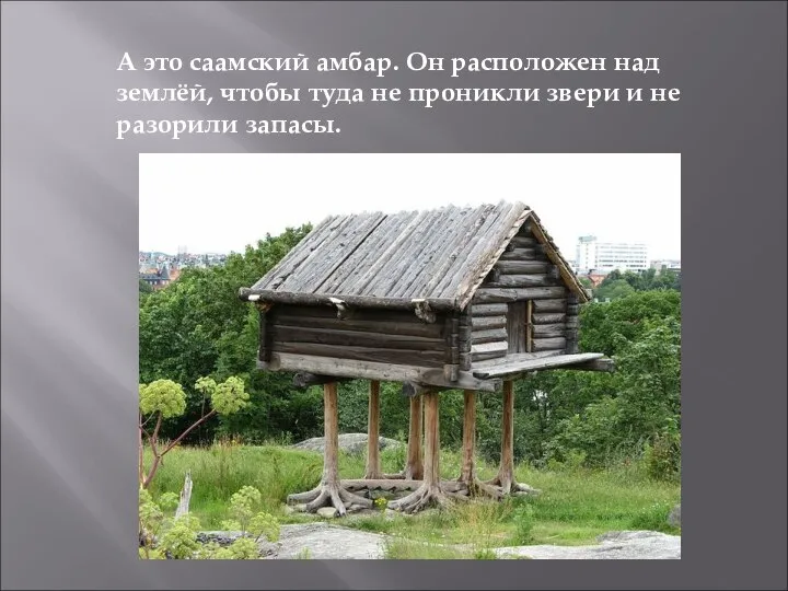 А это саамский амбар. Он расположен над землёй, чтобы туда не