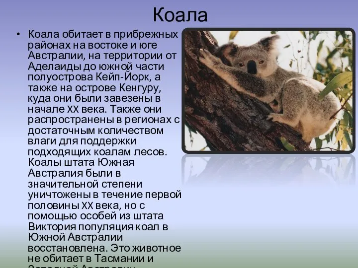 Коала Коала обитает в прибрежных районах на востоке и юге Австралии,