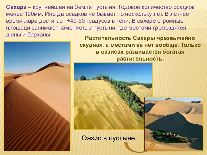 Сахара – крупнейшая на Земле пустыня. Годовое количество осадков менее 100мм.