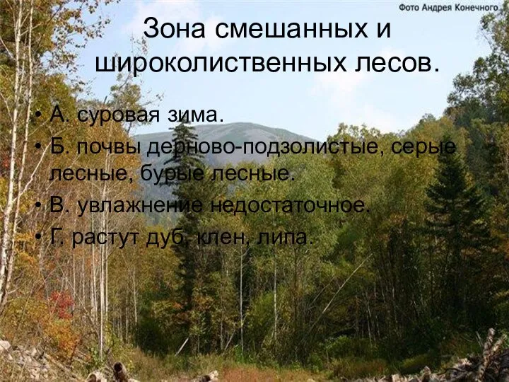 Зона смешанных и широколиственных лесов. А. суровая зима. Б. почвы дерново-подзолистые,