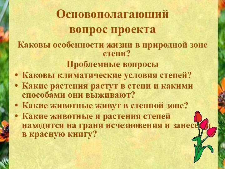 Основополагающий вопрос проекта Каковы особенности жизни в природной зоне степи? Проблемные