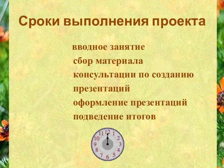 Сроки выполнения проекта вводное занятие сбор материала консультации по созданию презентаций оформление презентаций подведение итогов