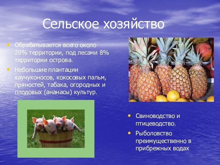 Сельское хозяйство Обрабатывается всего около 20% территории, под лесами 8% территории