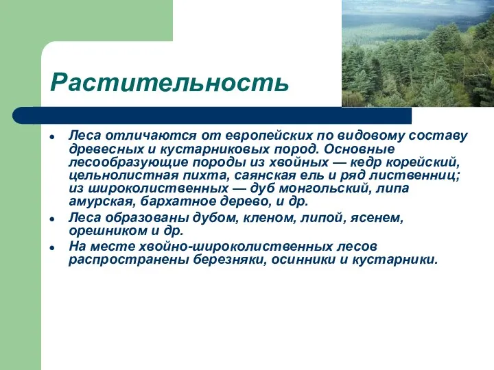 Растительность Леса отличаются от европейских по видовому составу древесных и кустарниковых