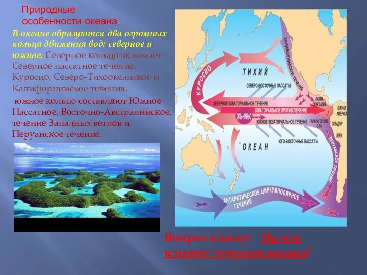 Природные особенности океана. В океане образуются два огромных кольца движения вод: