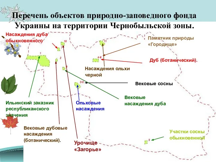 Перечень объектов природно-заповедного фонда Украины на территории Чернобыльской зоны. Ильинский заказник