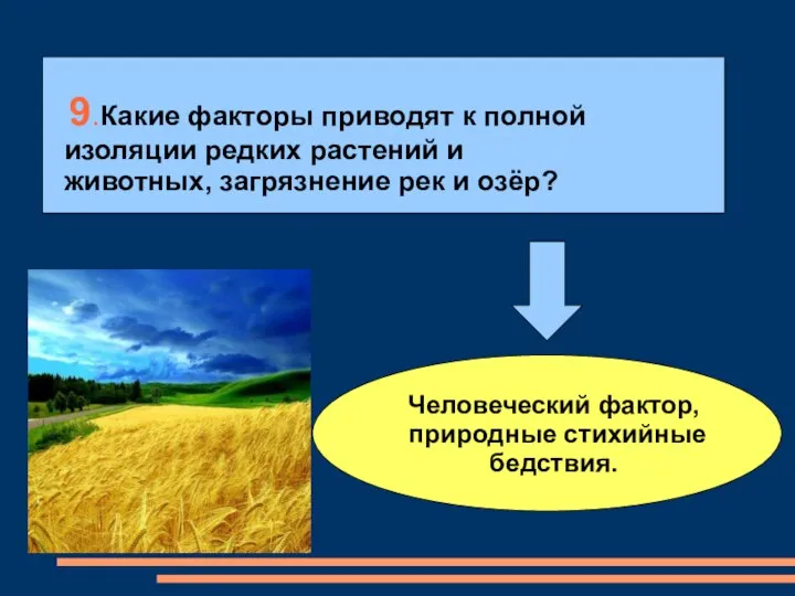 9.Какие факторы приводят к полной изоляции редких растений и животных, загрязнение