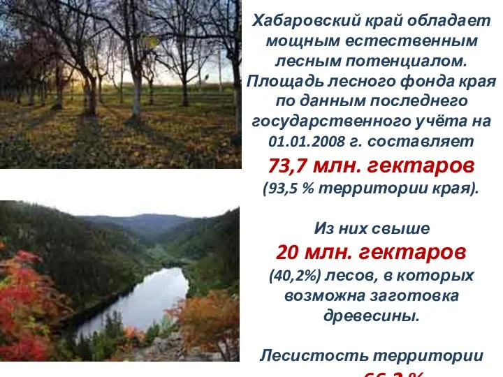 Хабаровский край обладает мощным естественным лесным потенциалом. Площадь лесного фонда края