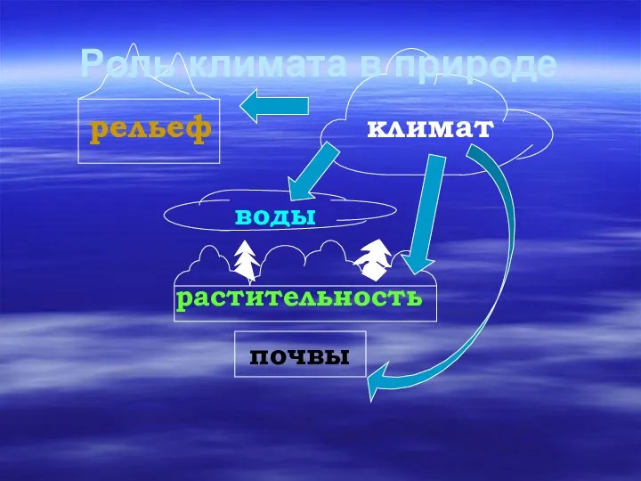 почвы рельеф климат воды растительность Роль климата в природе