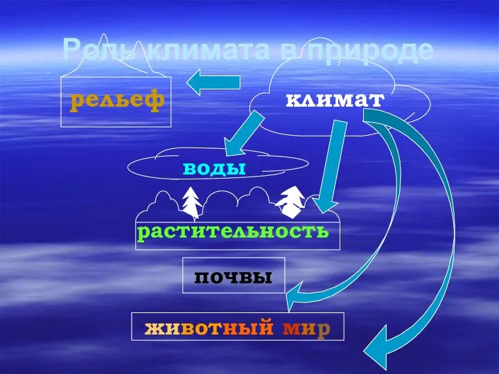 почвы рельеф климат воды растительность животный мир Роль климата в природе