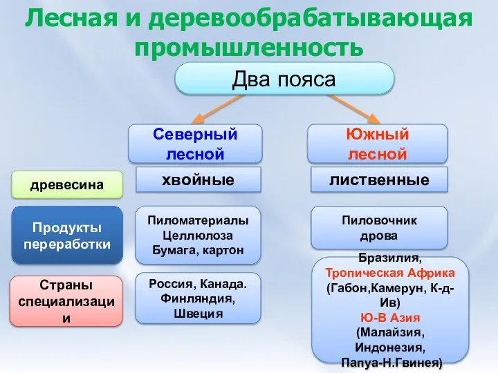 Северный лесной Южный лесной Бразилия, Тропическая Африка (Габон,Камерун, К-д-Ив) Ю-В Азия