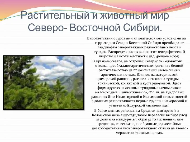 Растительный и животный мир Северо- Восточной Сибири. В соответствии с суровыми