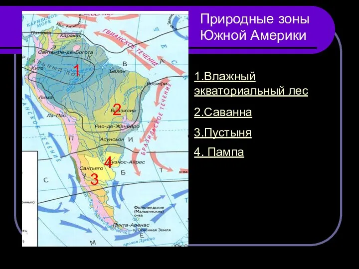 1 2 3 4 Природные зоны Южной Америки 1.Влажный экваториальный лес 2.Саванна 3.Пустыня 4. Пампа