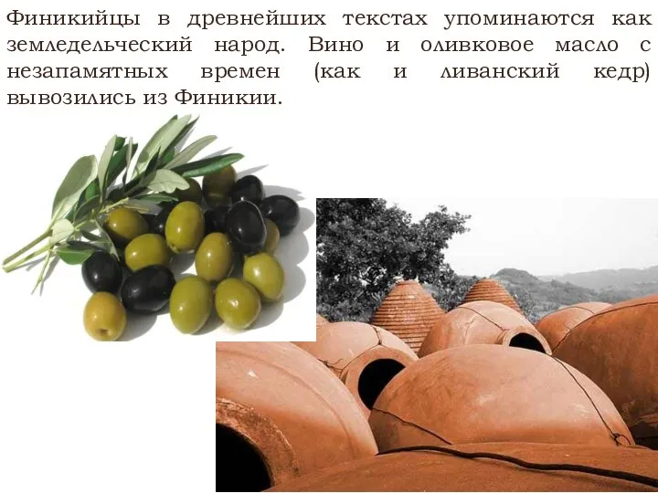 Финикийцы в древнейших текстах упоминаются как земледельческий народ. Вино и оливковое