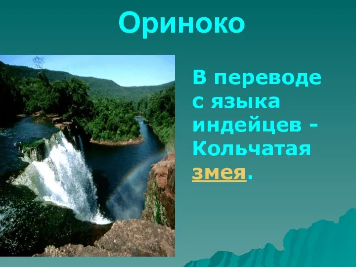 Ориноко В переводе с языка индейцев - Кольчатая змея.